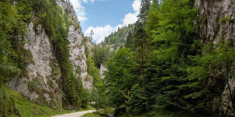 Cheile Dambovicioarei - O lume ascunsa in stanci si ape