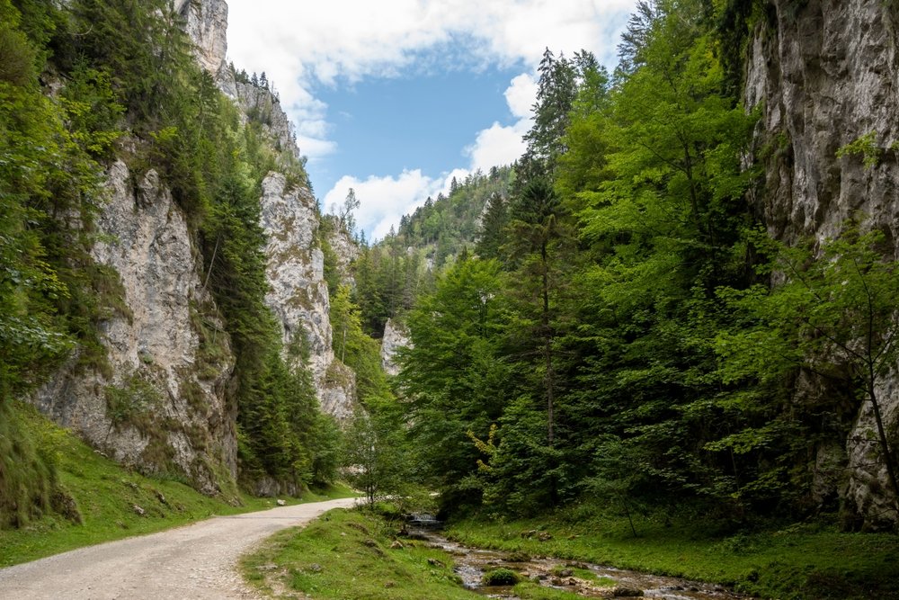Cheile Dambovicioarei – O lume ascunsa in stanci si ape Cheile Dambovicioarei - O lume ascunsa in stanci si ape