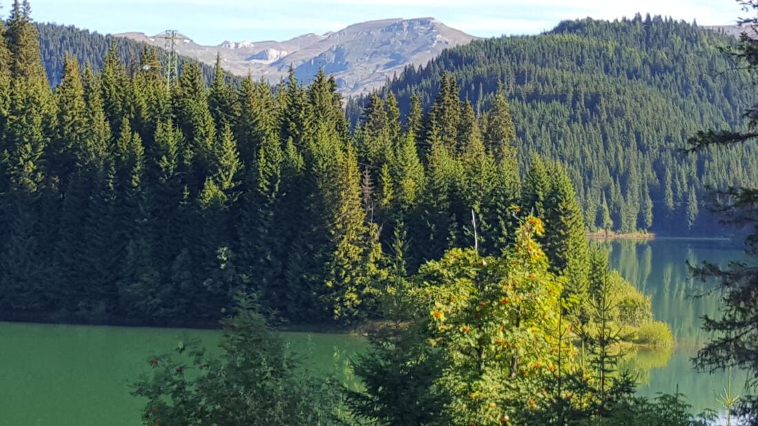 Dincolo de Paduri - Tacerea Albastra a Lacului Bolboci