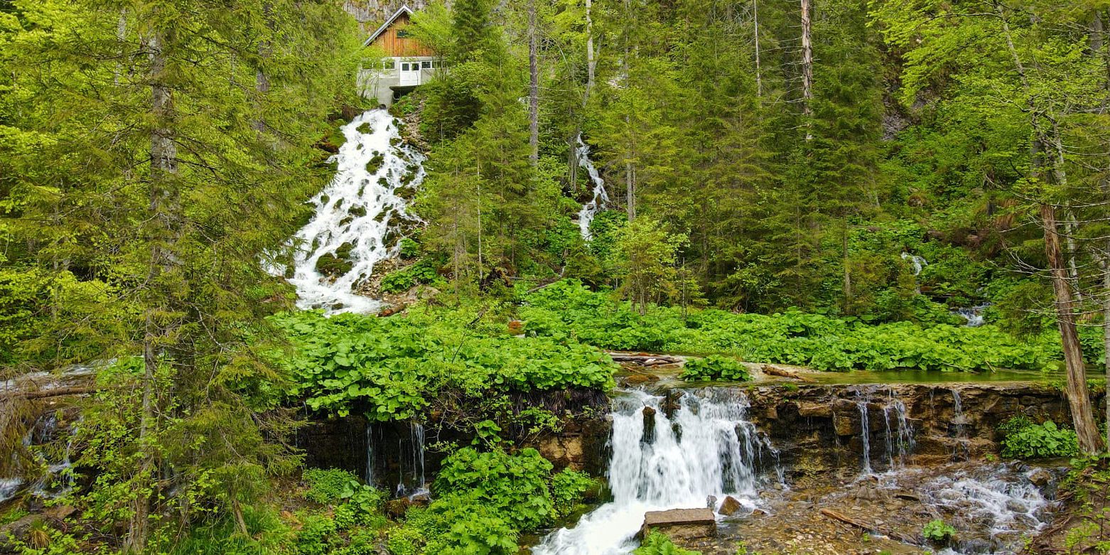 Cascada Sapte Izvoare – O comoara pentru cei ce stiu sa caute Cascada Sapte Izvoare – O comoara pentru cei ce stiu sa caute