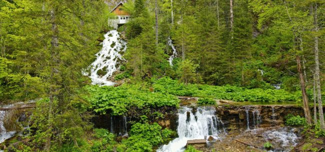 Cascada Sapte Izvoare – O comoara pentru cei ce stiu sa caute Cascada Sapte Izvoare – O comoara pentru cei ce stiu sa caute