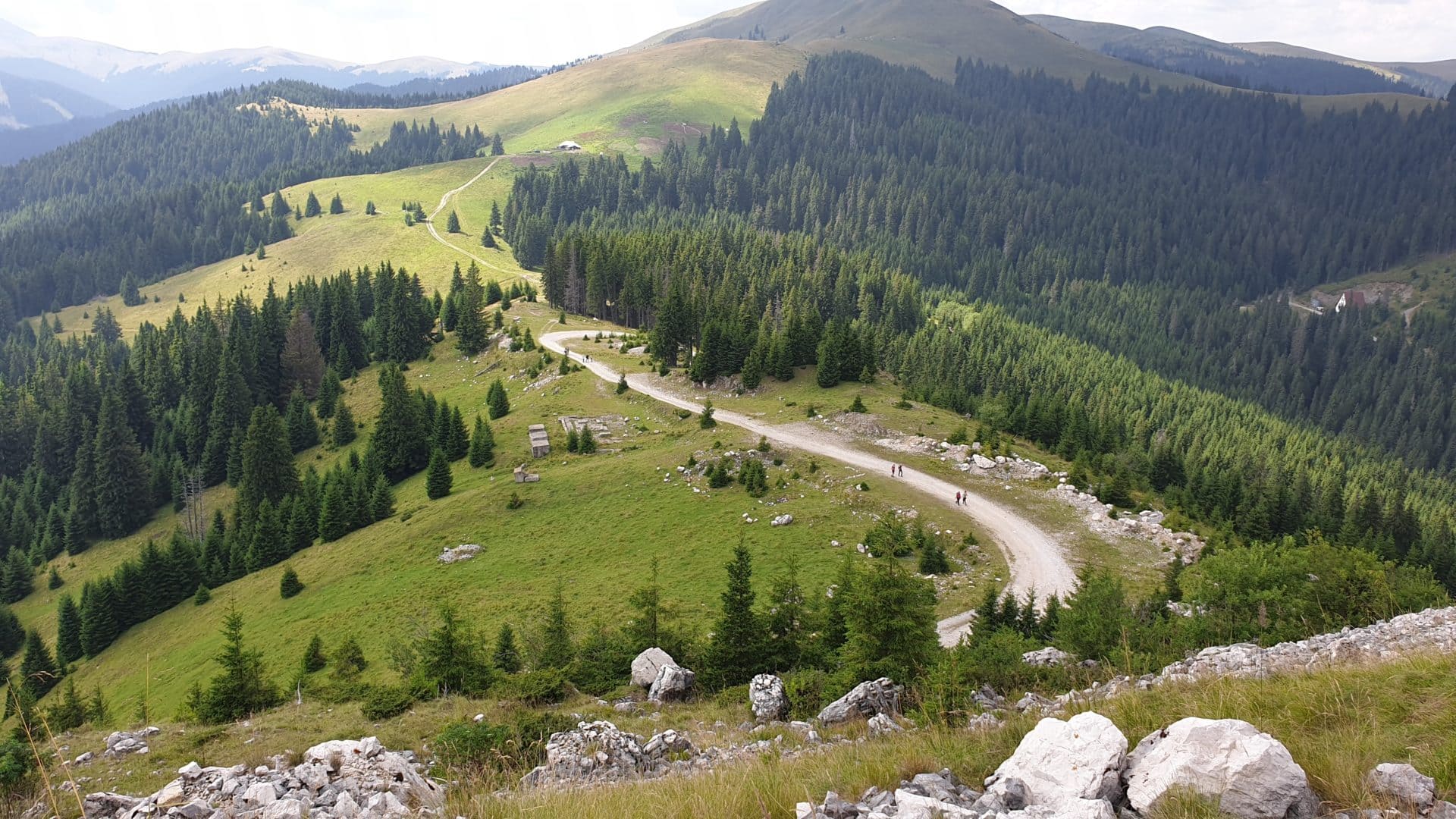 Drumetie prin peisaje vii – Podu' cu Florile