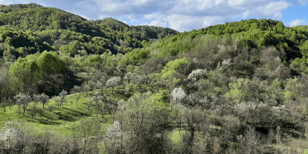 Piscul cu corni – Imbratisarea cerului Piscul cu corni – Imbratisarea cerului