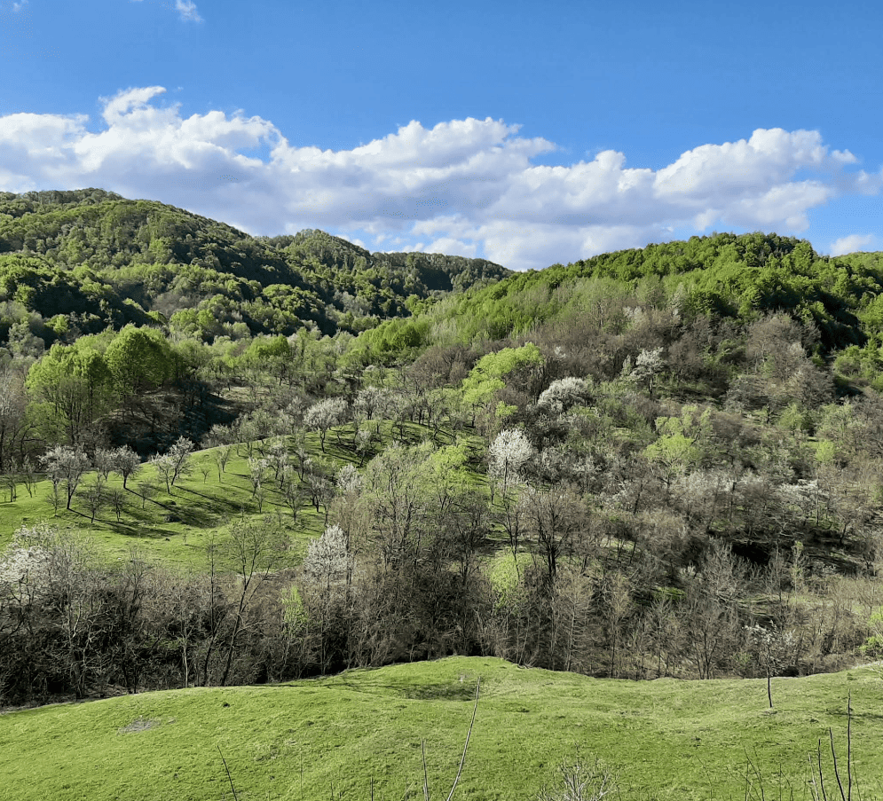 Piscul cu corni – Imbratisarea cerului Piscul cu corni – Imbratisarea cerului