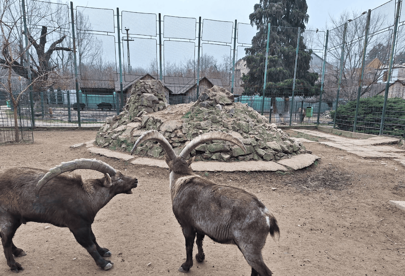 Gradina Zoologica Targoviste - Calatorie prin Habitatele Naturale ale Lumii
