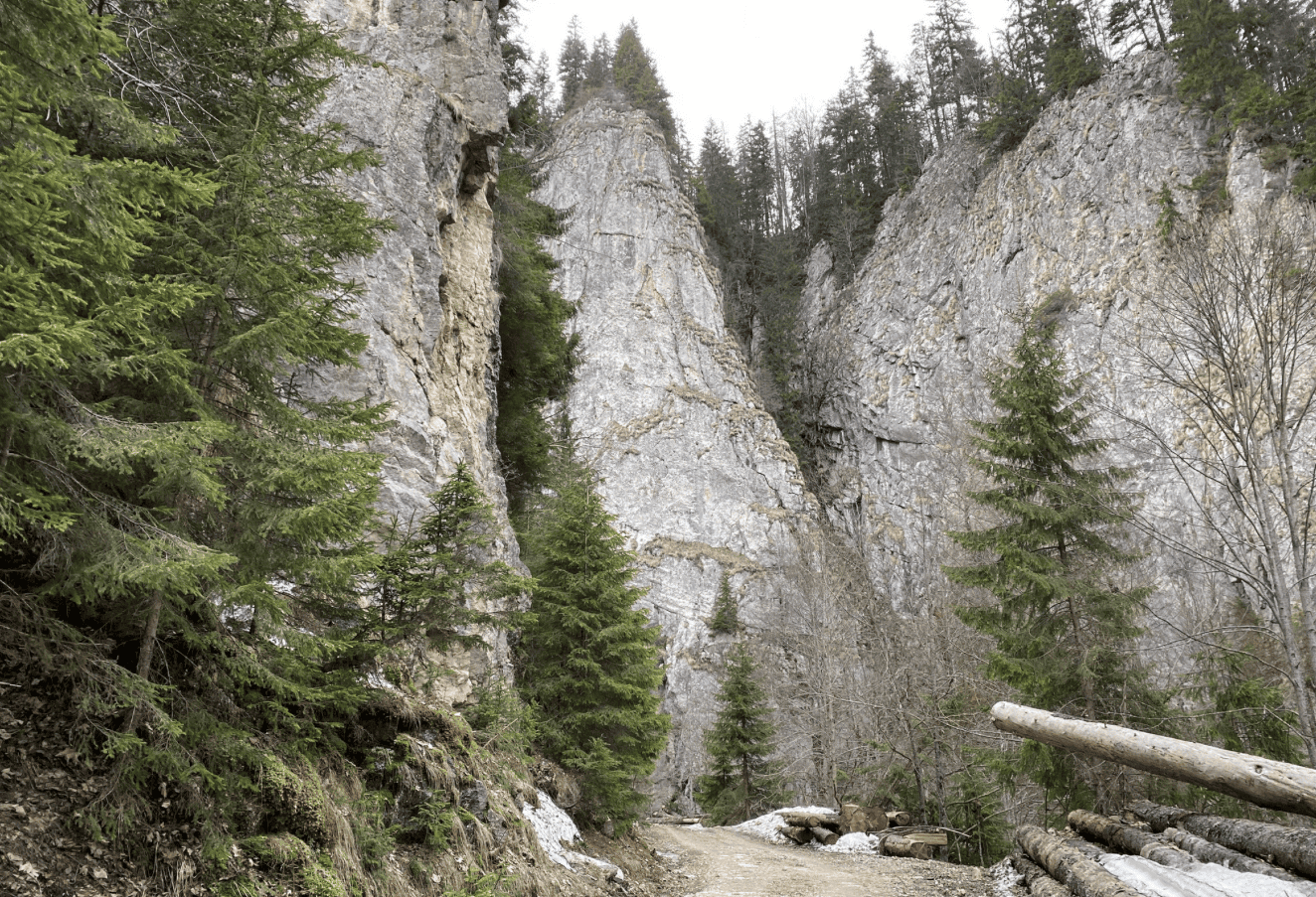 Poarta catre Salbaticie - Farmecul Neatins al Cheilor Rateiului
