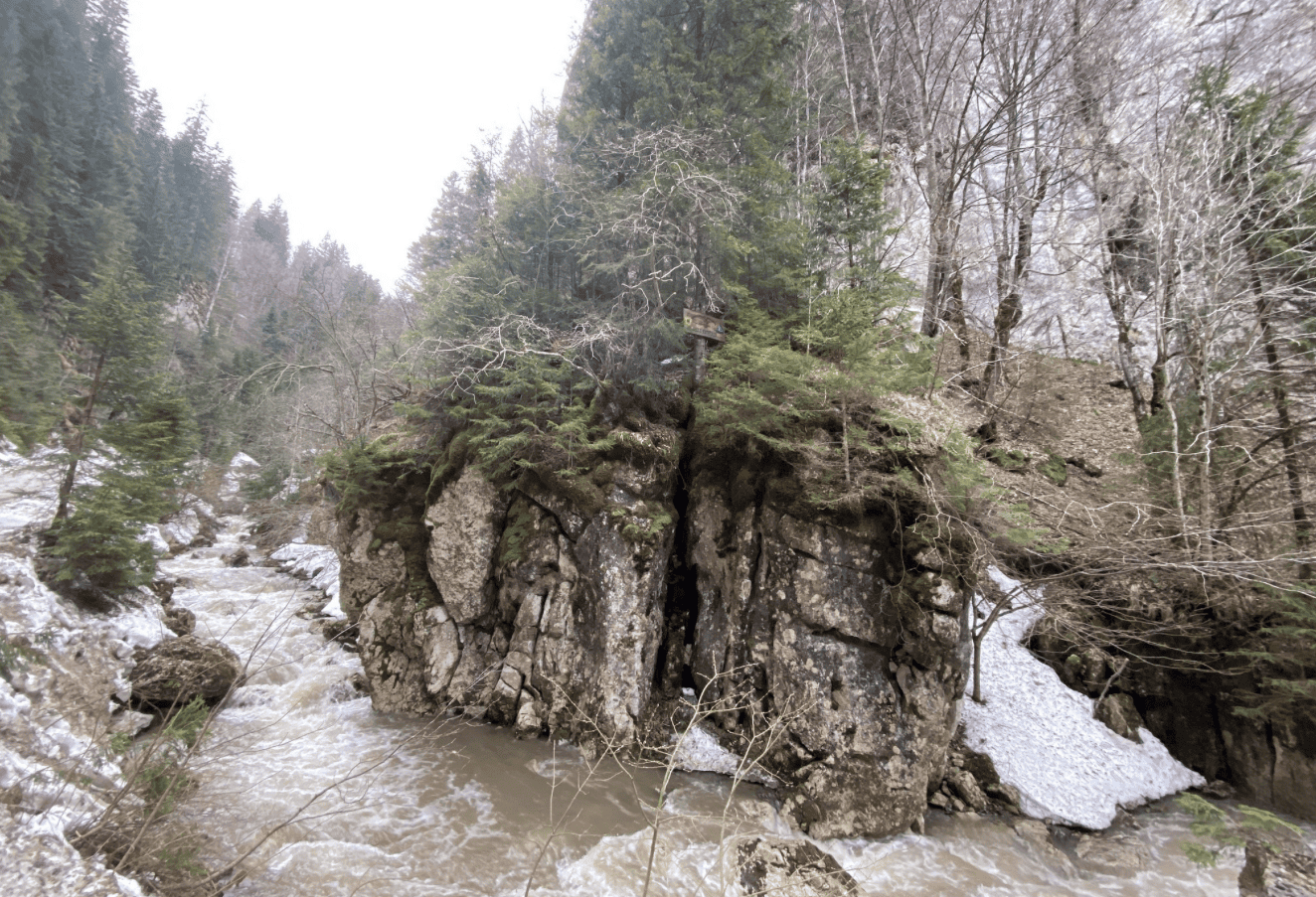 Poarta catre Salbaticie – Farmecul Neatins al Cheilor Rateiului Poarta catre Salbaticie - Farmecul Neatins al Cheilor Rateiului