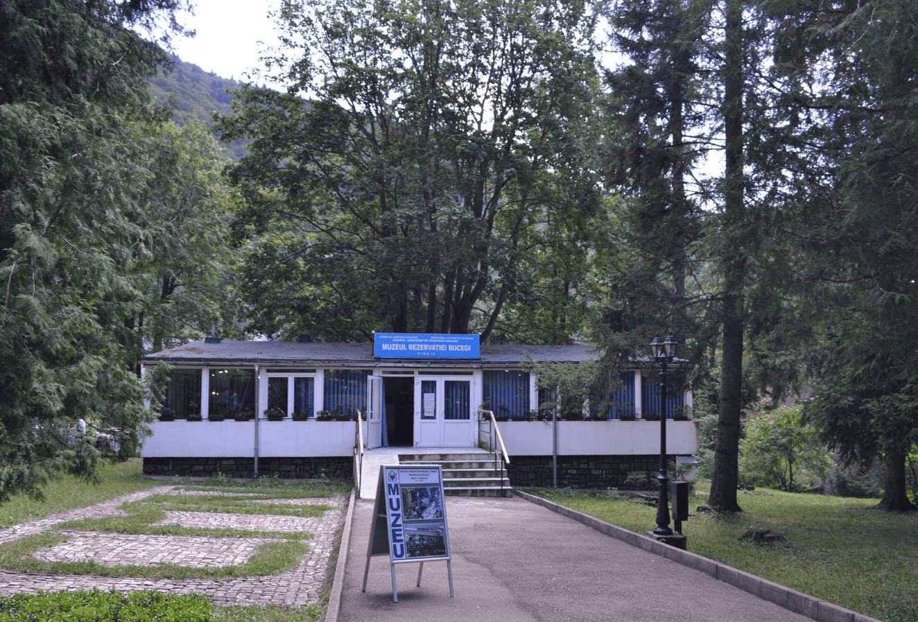 Muzeul Rezervatiei Bucegi – Expeditie prin Biodiversitatea Montana Muzeul Rezervatiei Bucegi - Expeditie prin Biodiversitatea Montana