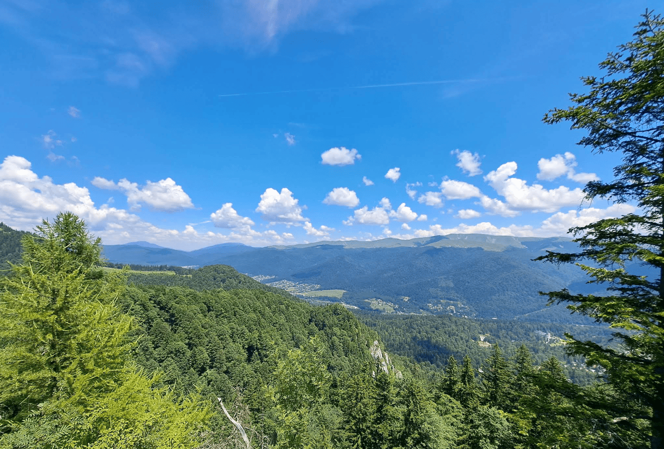 Cota 1400 – Un tablou natural ce iti taie rasuflarea Cota 1400 – Un tablou natural ce iti taie rasuflarea