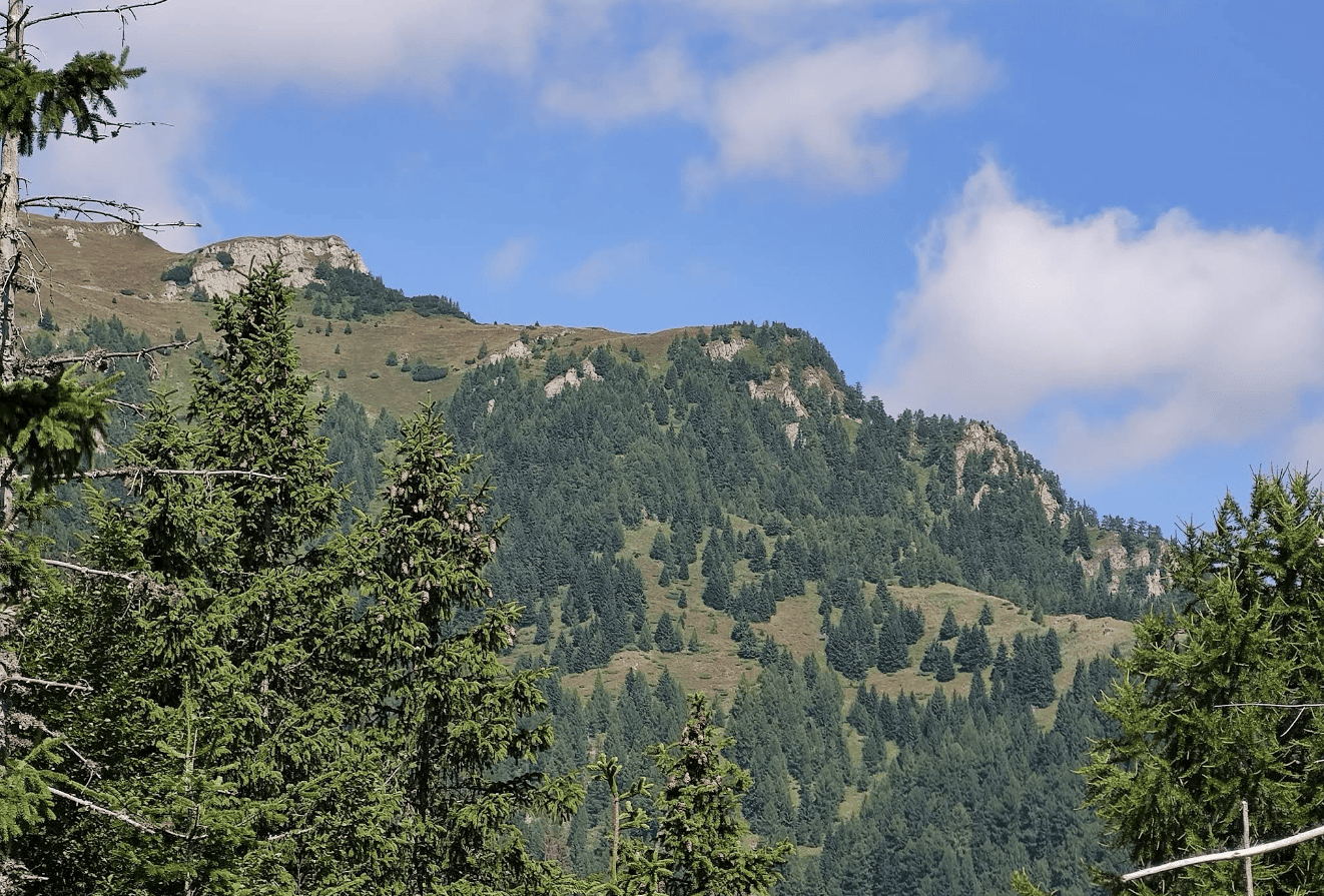 Cota 1400 – Un tablou natural ce iti taie rasuflarea