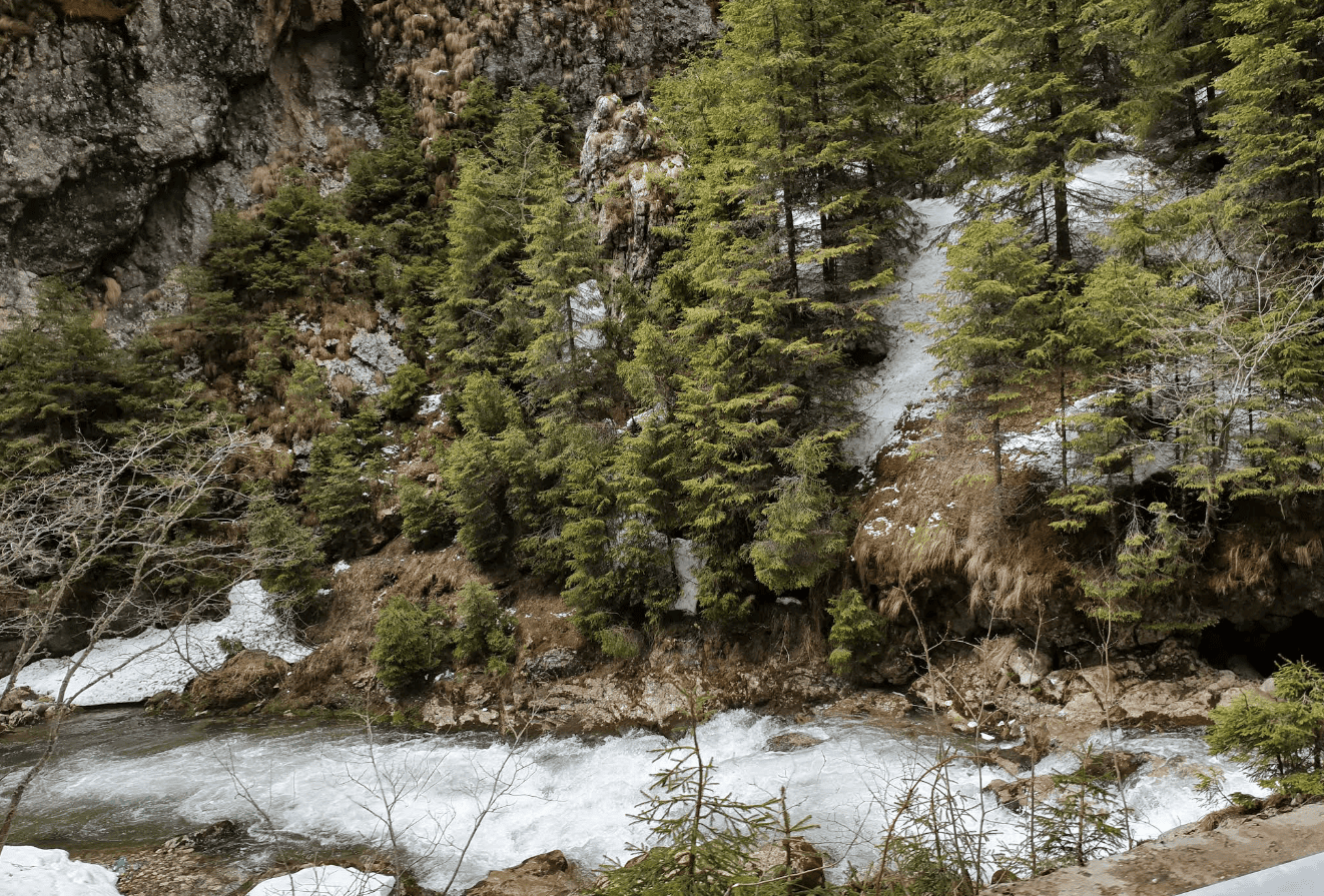 Cheile Tatarului – Canionul Fermecat al Bucegilor Cheile Tatarului - Canionul Fermecat al Bucegilor