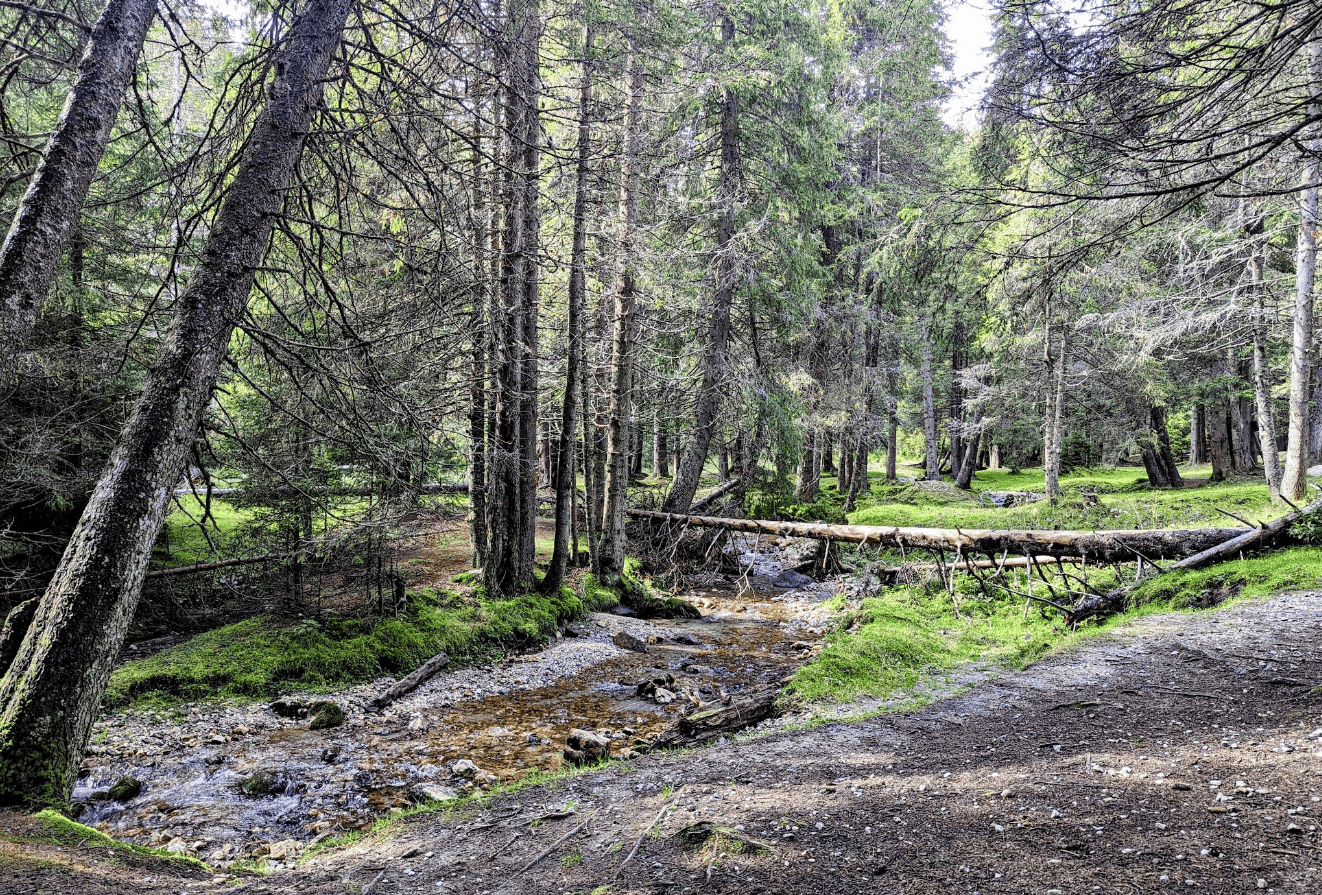 Valea Horoabei – Un refugiu pentru suflet si minte