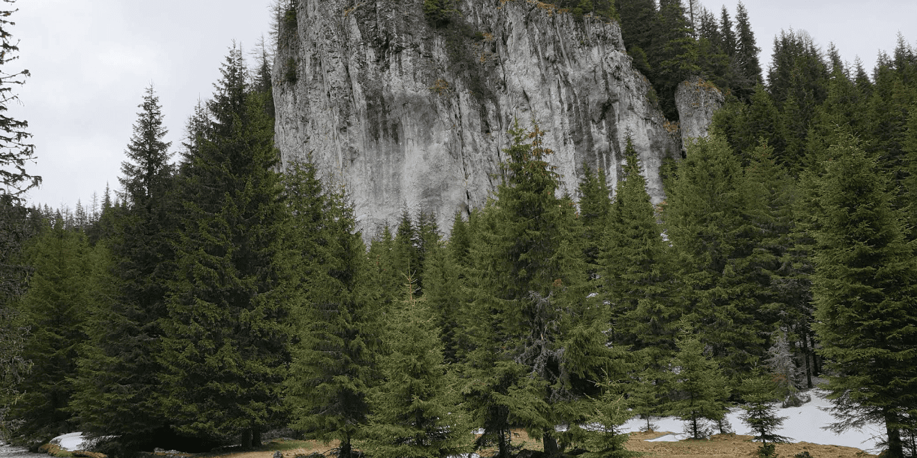 Valea Horoabei – Un refugiu pentru suflet si minte Valea Horoabei – Un refugiu pentru suflet si minte