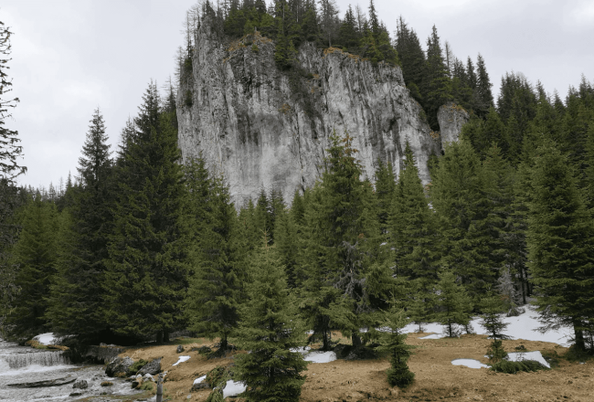 Valea Horoabei – Un refugiu pentru suflet si minte Valea Horoabei – Un refugiu pentru suflet si minte