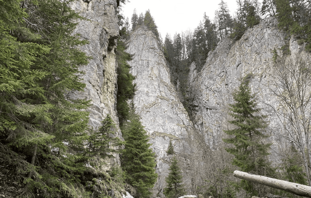 Drumetie prin Cheile Rateiului - Experienta Montana in Padurile din Moroeni