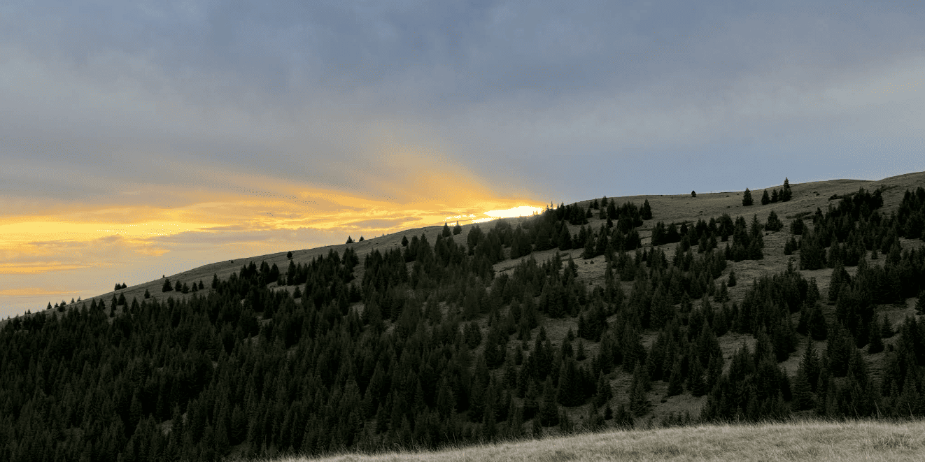 Drumetie prin Cheile Rateiului – Experienta Montana in Padurile din Moroeni Drumetie prin Cheile Rateiului - Experienta Montana in Padurile din Moroeni