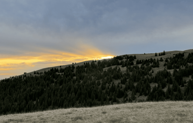 Drumetie prin Cheile Rateiului - Experienta Montana in Padurile din Moroeni