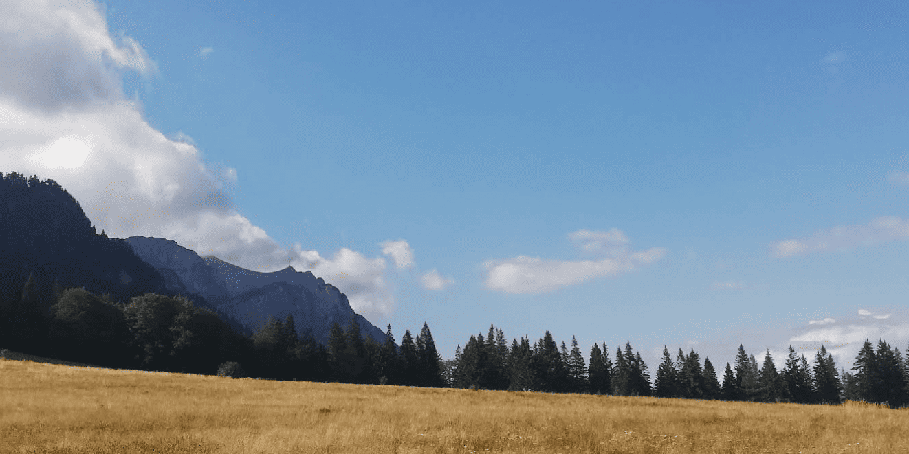 Plimbare Usoara in Bucegi: Drumul Sinaia – Cota 1400 spre Stana Regala Plimbare Usoara in Bucegi: Drumul Sinaia - Cota 1400 spre Stana Regala