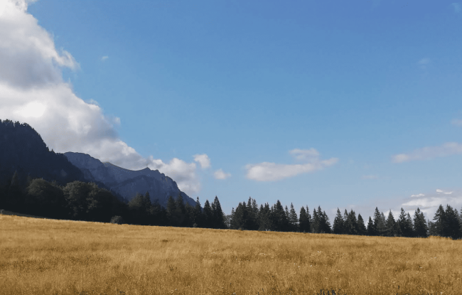 Plimbare Usoara in Bucegi: Drumul Sinaia - Cota 1400 spre Stana Regala