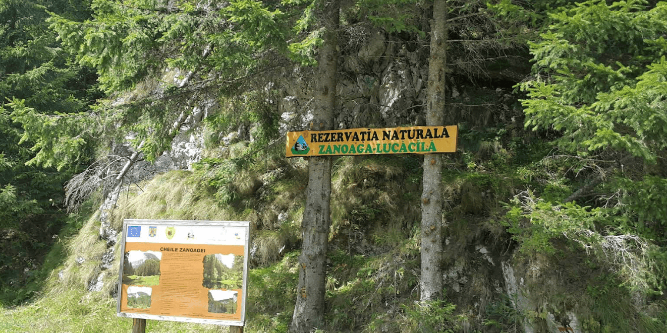 Traseu Montan Spectaculos: Podu' cu Florile - Saua Tatarului - Muntele Lucacila