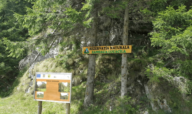 Traseu Montan Spectaculos: Podu' cu Florile - Saua Tatarului - Muntele Lucacila