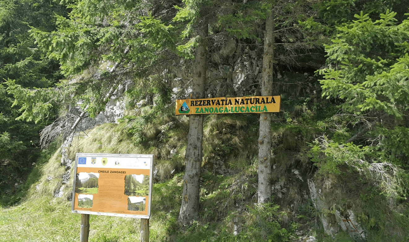 Traseu Montan Spectaculos: Podu’ cu Florile – Saua Tatarului – Muntele Lucacila Traseu Montan Spectaculos: Podu' cu Florile - Saua Tatarului - Muntele Lucacila