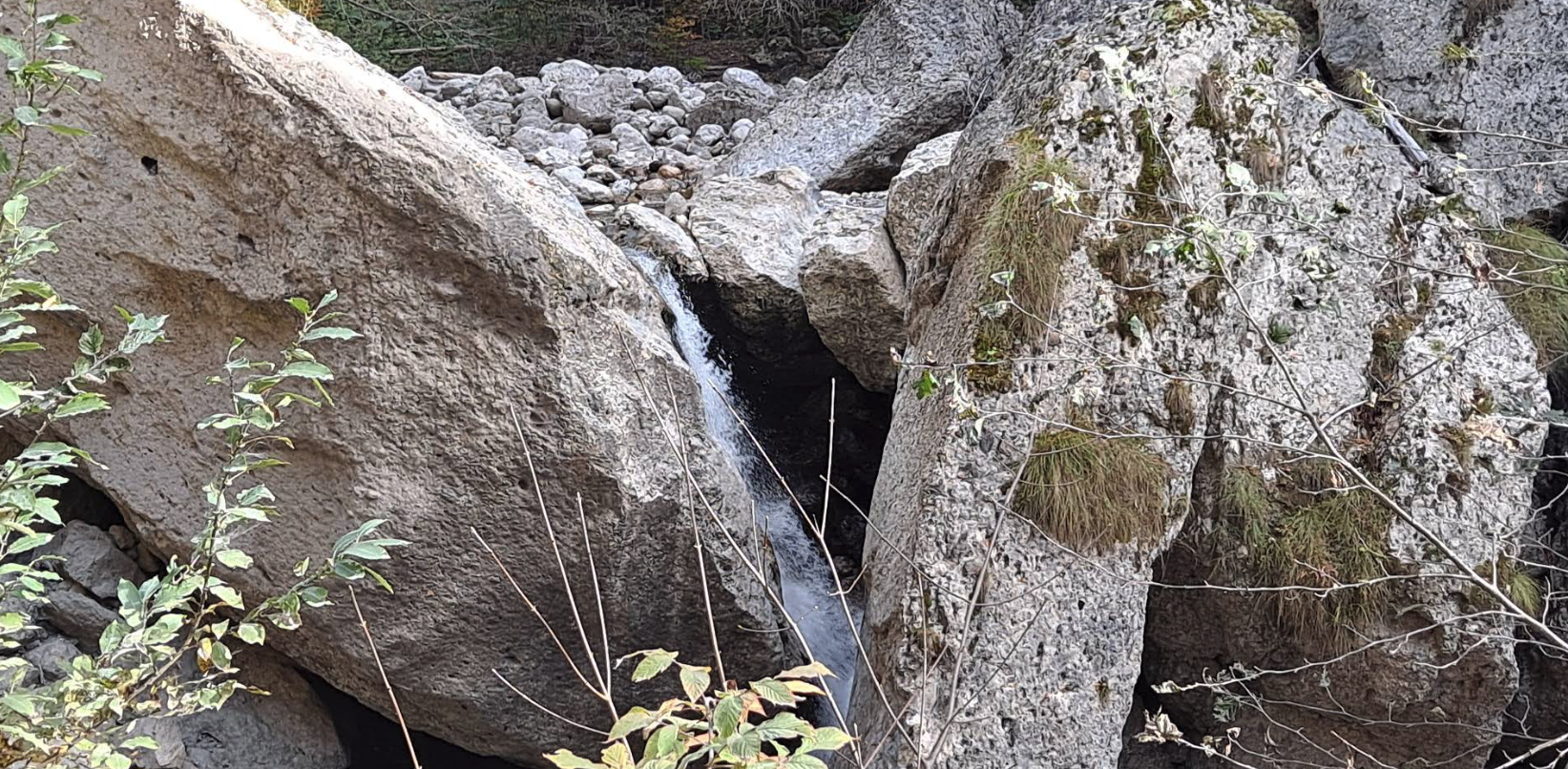 Cascada Caprioara – Tablou Viu in Inima Padurii Cascada Caprioara - Tablou Viu in Inima Padurii