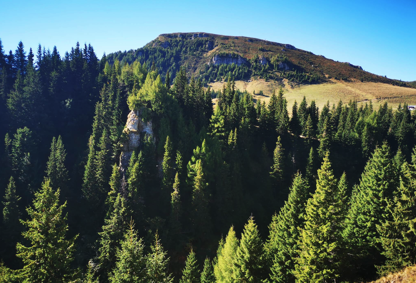 Cascadele Vanturis - Bijuterie Ascunsa a Traseelor Turistice din Valea Prahovei