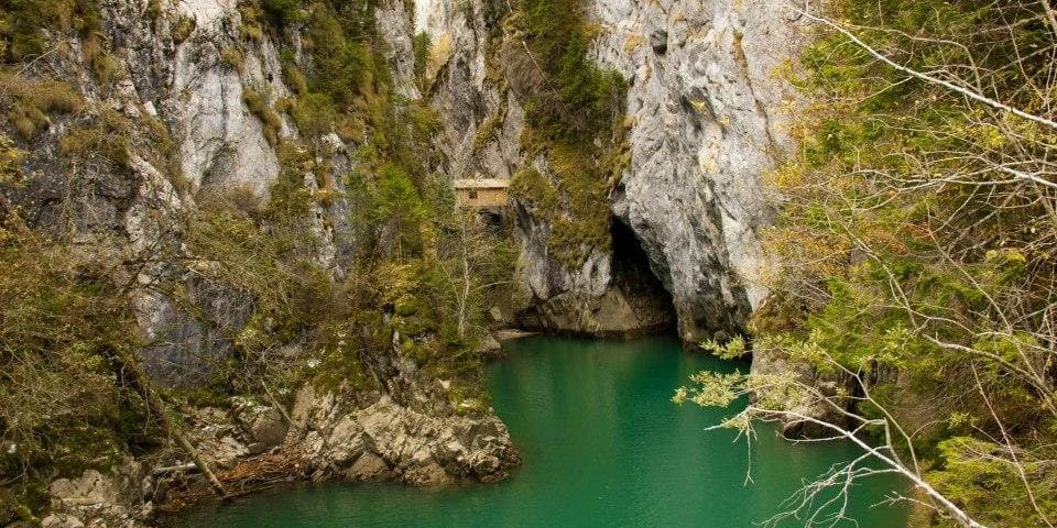 Cheile Orzei – Labirintul de Piatra al Bucegilor Cheile Orzei - Labirintul de Piatra al Bucegilor