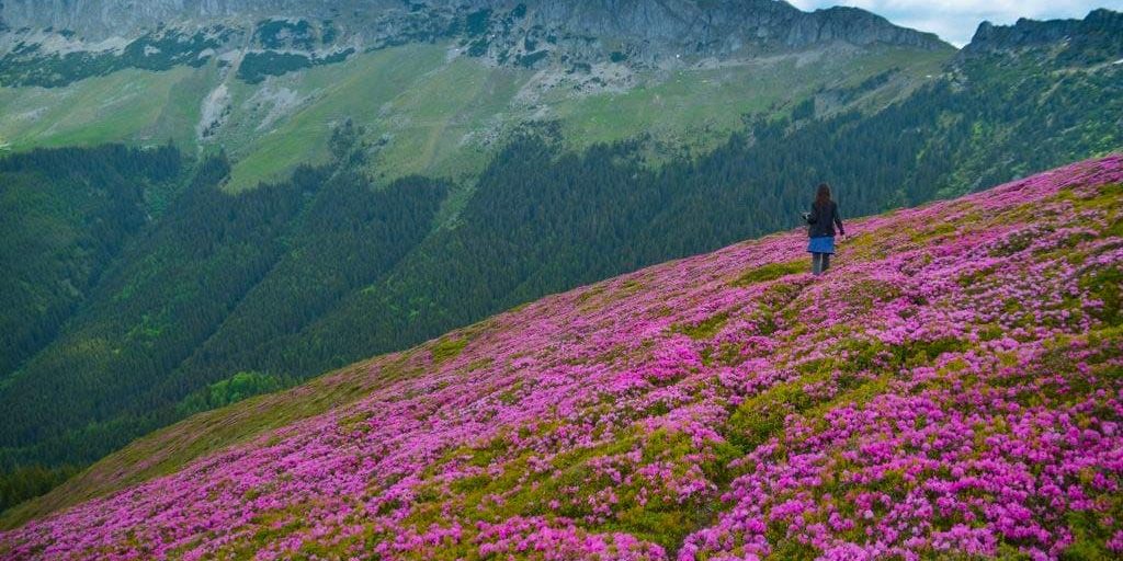 Varful Leaota – Magia dintre cer si pamant Varful Leaota – Magia dintre cer si pamant