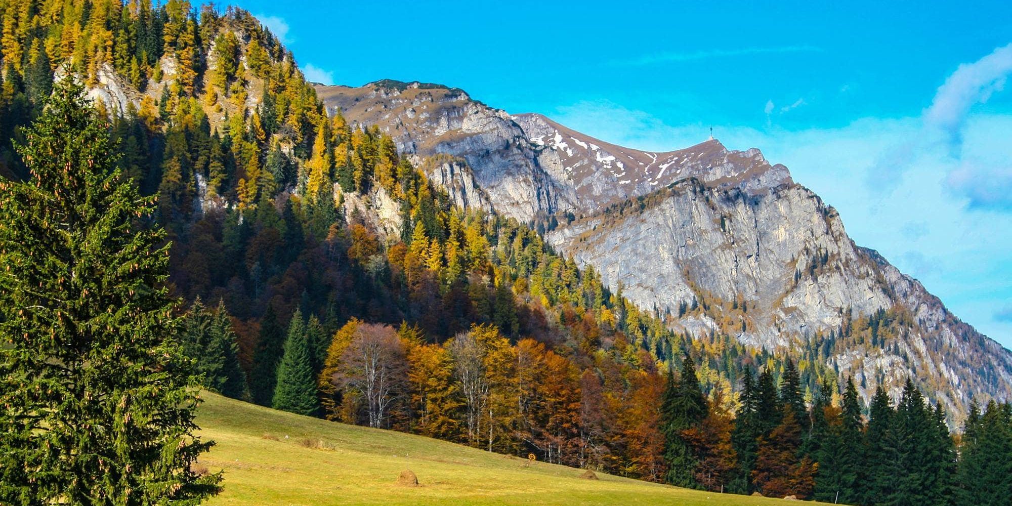 Poiana Stanei Regale – Unde natura intalneste istoria