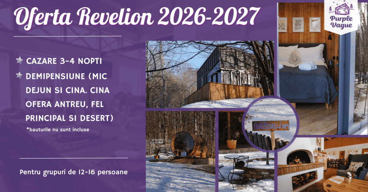 OFERTE PURPLE 2025-2026